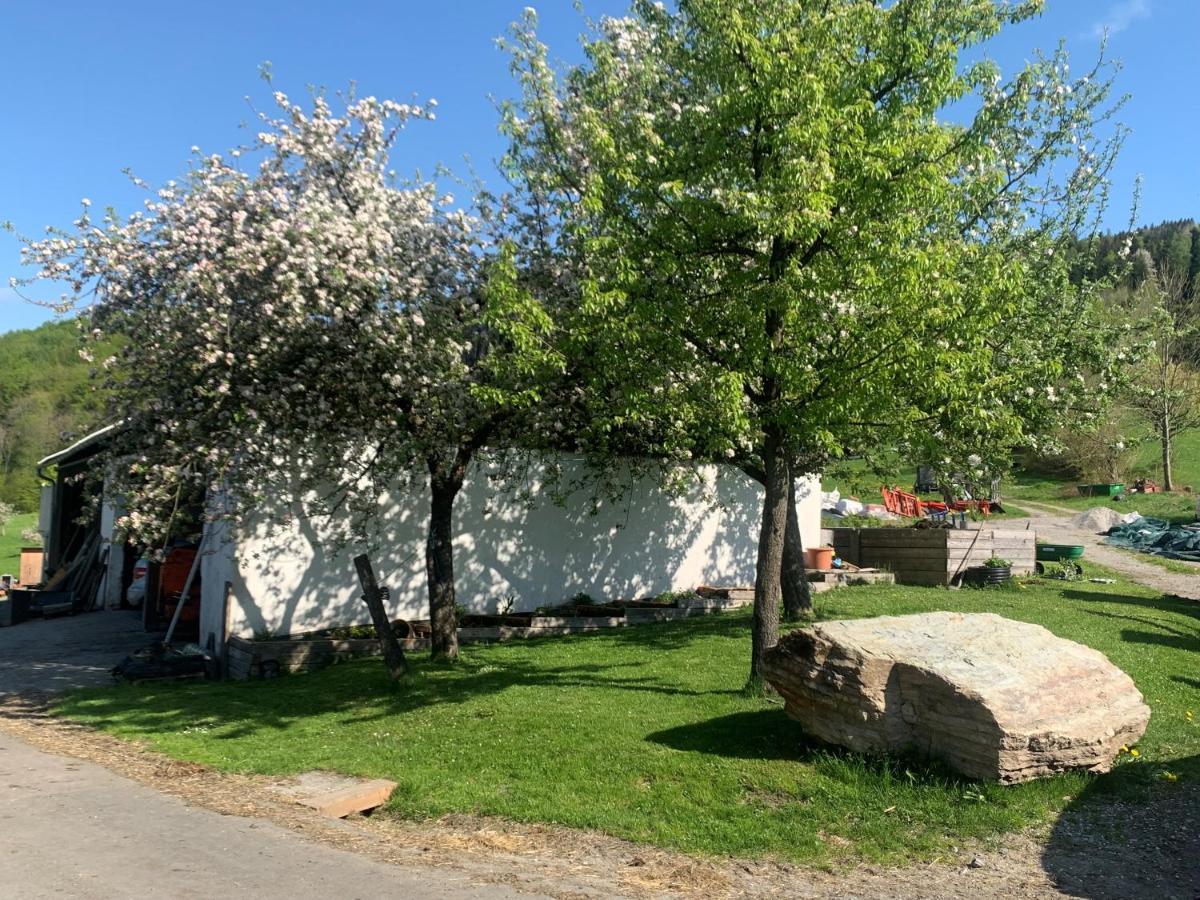 Ferienwohnung Waldkoehlerei Michelbach ภายนอก รูปภาพ